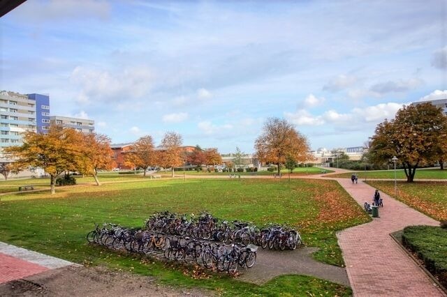 Ferienwohnung in Heiligenhafen - Ferienpark - Haus H, App. 0H0102 - Bild 2