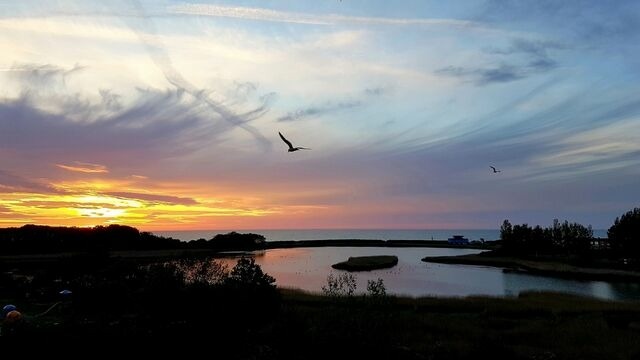 Ferienwohnung in Heiligenhafen - Ferienpark - Haus C, App. 0C0411 - Bild 8
