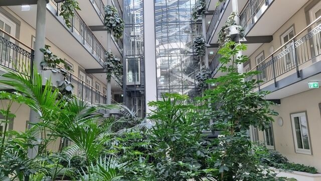 Ferienwohnung in K&uuml;hlungsborn - Meeresblick - 28-509 - Bild 5