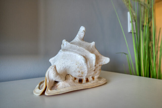 Ferienwohnung in Heiligenhafen - Ferienpark - Haus L, App. 0L0504 - Bild 8