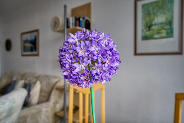 Ferienwohnung in Heiligenhafen - Ferienpark - Haus E, App. 0E1205 - Bild 8