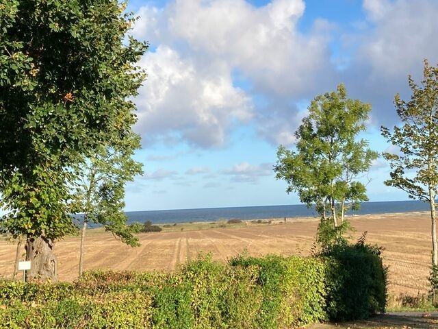 Ferienwohnung in K&auml;gsdorf - Gutshaus von B&uuml;low - 19-02 - Bild 6