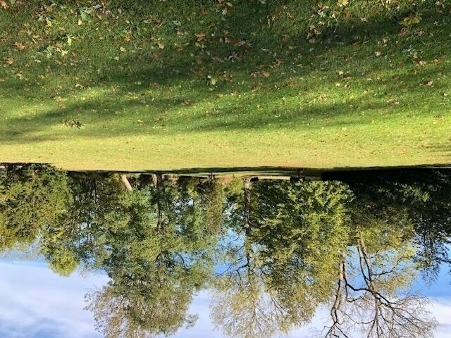 Ferienwohnung in K&auml;gsdorf - Gutshaus von B&uuml;low - 19-02 - Bild 9