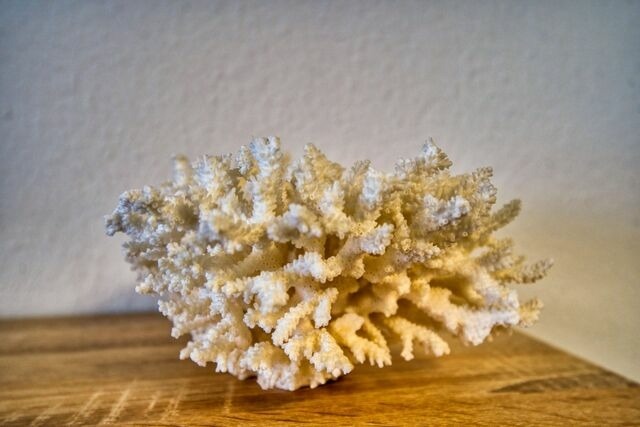 Ferienwohnung in Heiligenhafen - Haus Hanseatic, App. 3SC518 - Bild 13