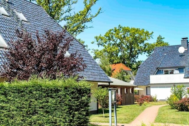 Ferienwohnung in Prerow - Buchentraum 1/4 - Bild 11