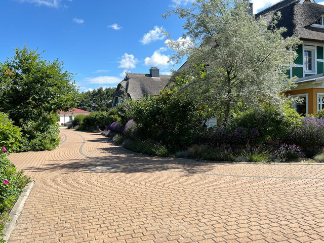 Ferienhaus in Born a. Dar&szlig; - B&uuml;ltenzeit - Bild 14