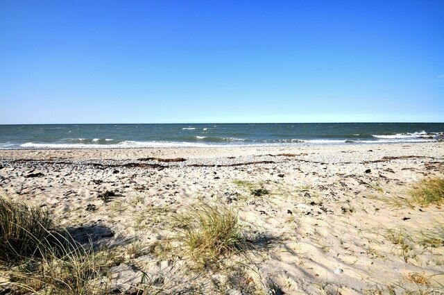 Ferienwohnung in Teichhof - Apartment Potosi Teichhof Fehmarn - Bild 24