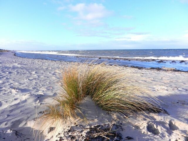 Ferienwohnung in Teichhof - Apartment Potosi Teichhof Fehmarn - Bild 25