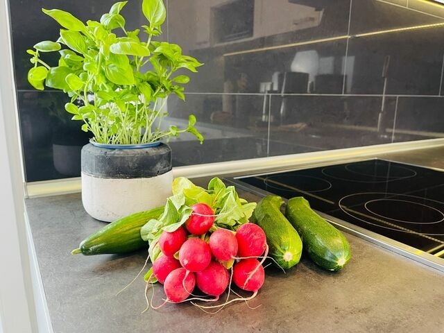 Ferienwohnung in Teichhof - Apartment Passat Teichhof Fehmarn - Bild 9