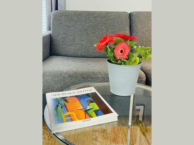 Ferienwohnung in Teichhof - Apartment Passat Teichhof Fehmarn - Bild 12