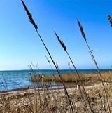 Ferienhaus in Nisdorf OT Altenpleen - FeHa Boddenperle NILO Nisdorf mit Sauna im Badezimmer, E-Ladestation vorhanden - Bild 6