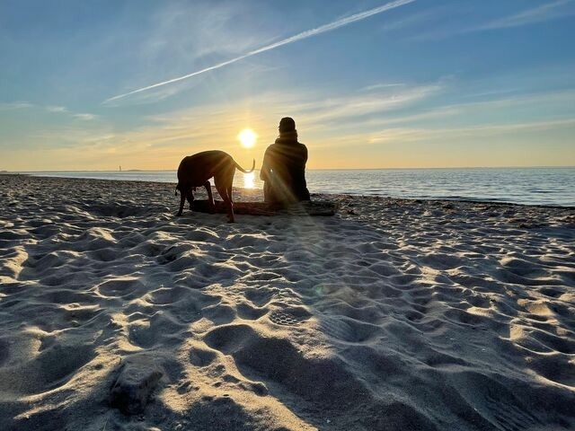 Ferienwohnung in Barendorf - Harkensee -Dassow - Haus Schwalbennest - Whg. - Bild 17