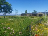 Ferienwohnung in K&uuml;hlungsborn - Sunset Residence 3 -Seaside Garden - Bild 20