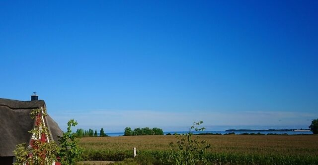 Ferienhaus in Zierow - Ferienhaus "Fantasie" - Bild 2