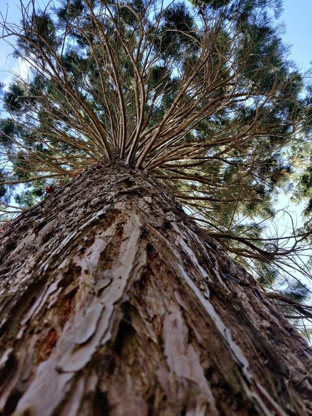 Ferienwohnung in Mariendorf - Naturidyll Mariendorf - Ferienwohnung Hagensche Wiek - Bild 22