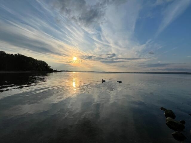 Ferienwohnung in Alt Reddevitz - H&ouml;fthus 8 - Bild 22