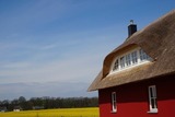 Ferienhaus in Zierow - Reethaus "Schwarze Perle" - Bild 9