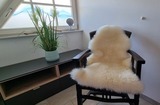 Ferienhaus in Zierow - Reethaus "Schwarze Perle" - Bild 22