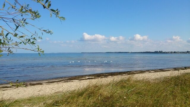 Ferienhaus in Zierow - Reethaus "Ankerplatz" - Bild 19