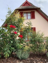 Ferienhaus in Zierow - Reethaus "L&uuml;tt Seeadler" - Bild 8