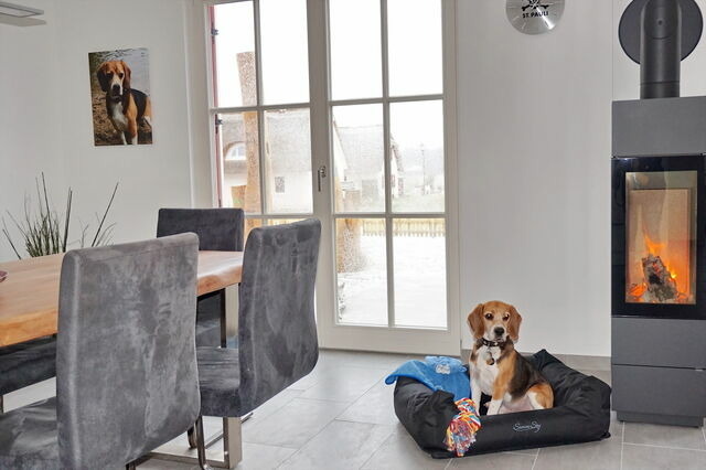 Ferienhaus in Zierow - Reethaus "Nicole****" - Bild 3