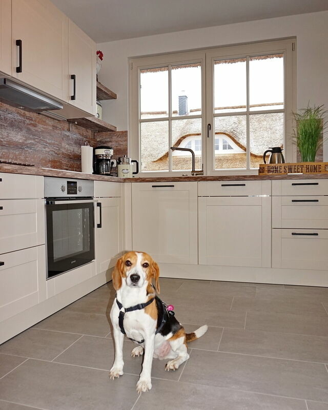 Ferienhaus in Zierow - Reethaus "Nicole****" - Bild 9