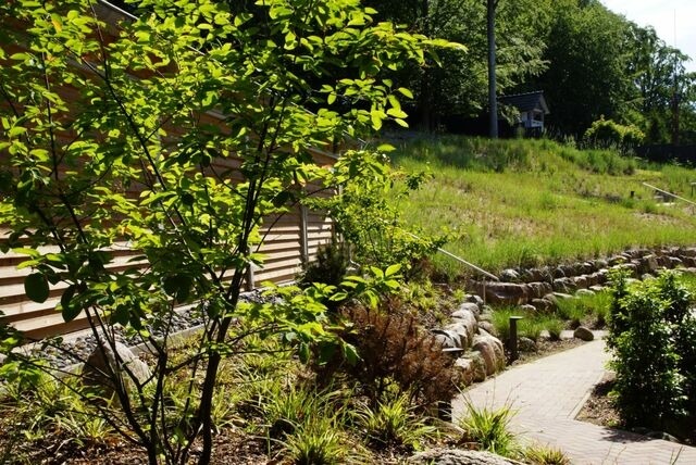 Ferienwohnung in Sellin - Haus Waldidyll, Windherz - Bild 24