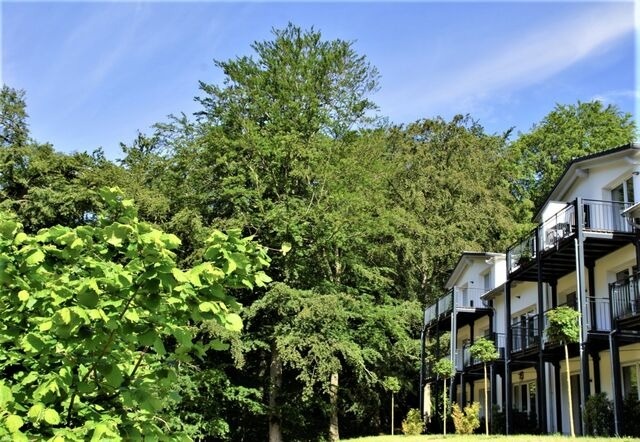 Ferienwohnung in Sellin - Haus Waldidyll, Windherz - Bild 25