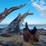 Ferienwohnung in Hohen Wieschendorf - Ferienwohnung "K&uuml;stenkr&uuml;mel No. 16 - Aurora Vista" - Bild 19