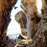 Ferienwohnung in Hohen Wieschendorf - Ferienwohnung "K&uuml;stenkr&uuml;mel No. 16 - Aurora Vista" - Bild 22