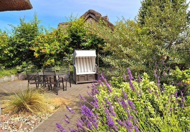 Ferienhaus in Zierow - Reethaus "Ostseemuschel" - Bild 2