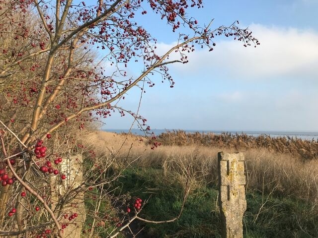 Ferienhaus in Zierow - Reethaus "Ostseemuschel" - Bild 22