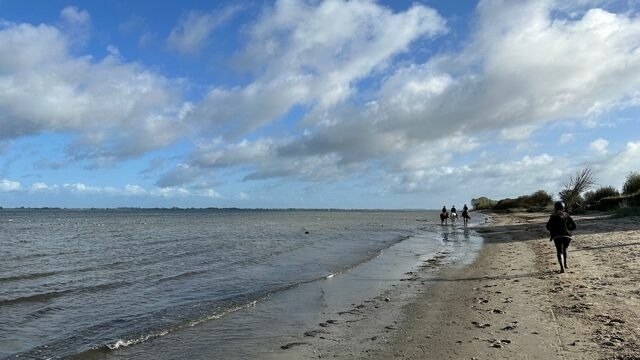 Ferienhaus in Zierow - Reethaus "Drei M&ouml;wen" - Bild 24