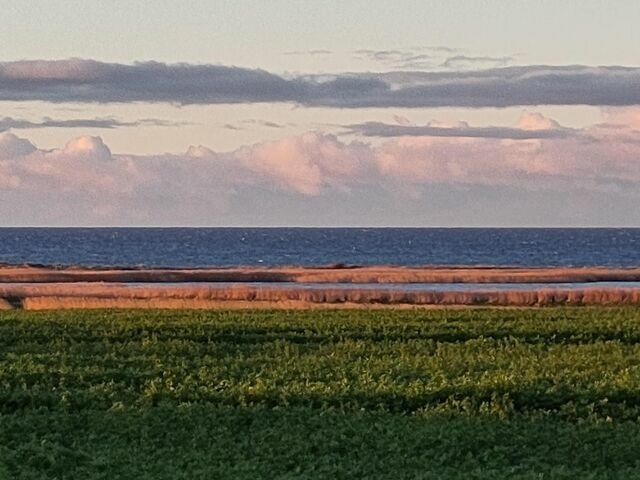 Ferienwohnung in Bastorf - Landhaus Ostseeblick Fewo 15 - Bild 17