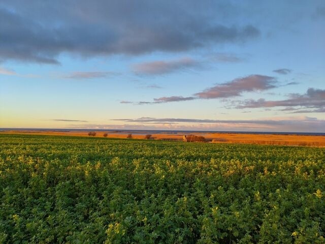 Ferienwohnung in Bastorf - Landhaus Ostseeblick Fewo 15 - Bild 18