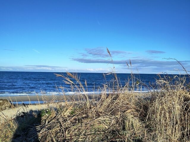 Ferienwohnung in Bastorf - Landhaus Ostseeblick Fewo 15 - Bild 20