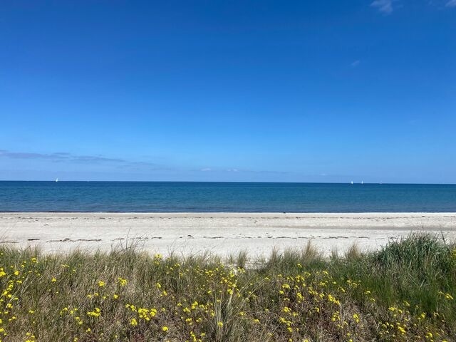 Ferienwohnung in Maasholm - Strandgaard - Bild 20