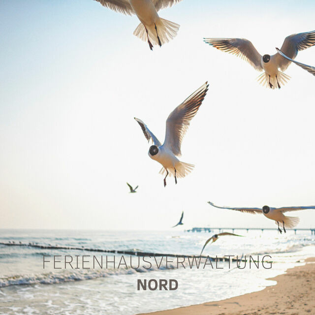 Ferienwohnung in Maasholm - Strandgaard - Bild 24