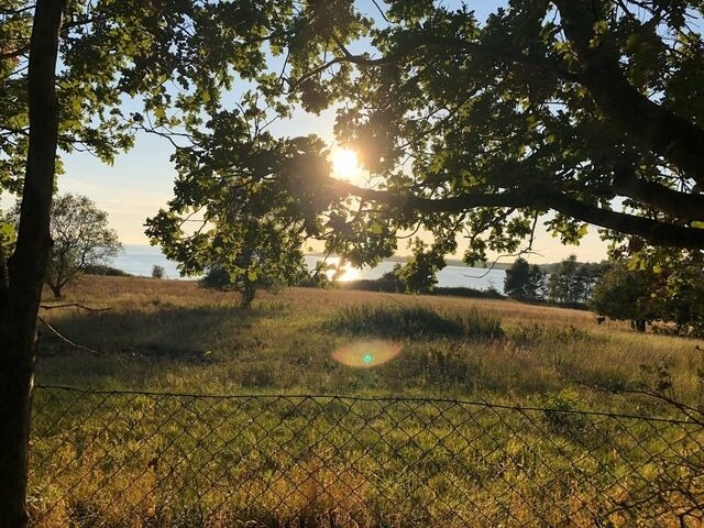 Ferienwohnung in Mariendorf - Naturidyll Mariendorf - Ferienwohnung Zickersche Berge - Bild 24