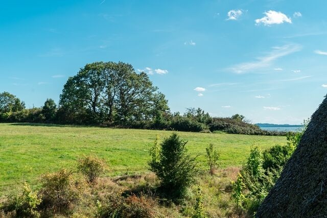 Ferienwohnung in Lobbe - Strandhaus Lobbe, Mohnblume Nr. 20 - Bild 19