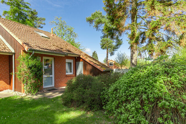 Ferienhaus in Boltenhagen - Ferienhaus Urlauberdorf 21c - Bild 23