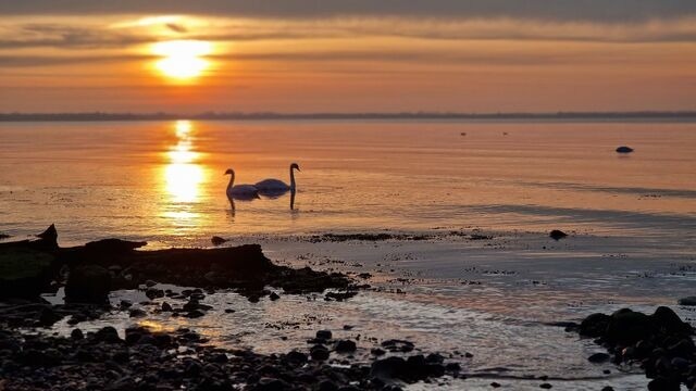 Ferienwohnung in Hohen Wieschendorf - Ferienwohnung "Weitblick No. 36 - Aurora Vista" - Bild 19