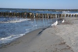 Ferienwohnung in Ostseeheilbad Zingst - Ferienwohnung 1 Rosenberg 32 - Bild 19