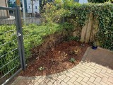 Ferienwohnung in Flensburg - F&ouml;rdequartier Flensburg - Bild 24