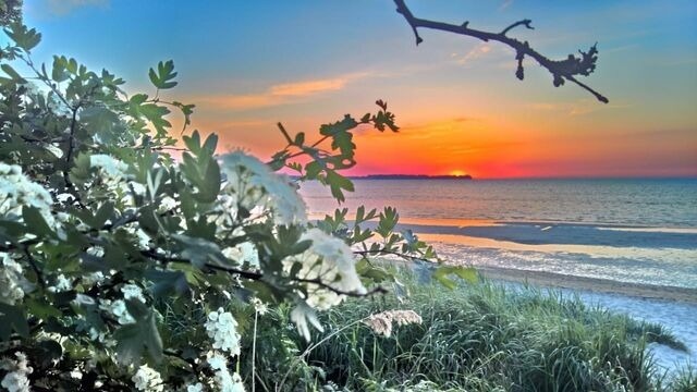 Ferienhaus in Zierow - Reethaus "Blinkf&uuml;r" - Bild 25