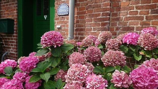 Ferienhaus in Zierow - Ferienhaus "Greta" - Bild 2