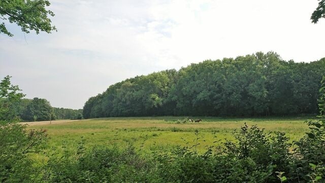 Ferienhaus in Zierow - Ferienhaus "Greta" - Bild 18
