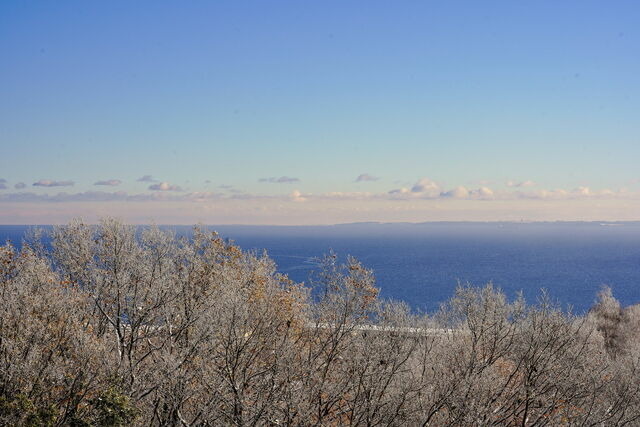 Ferienwohnung in Sierksdorf - Seerobbe - Bild 21