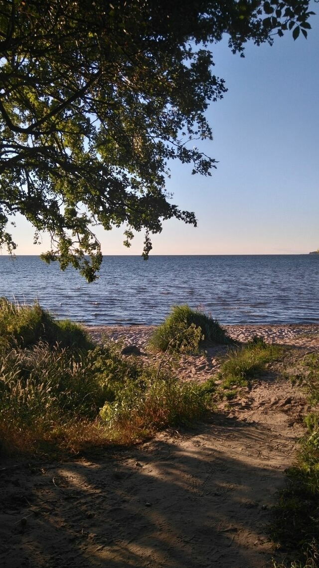 Ferienhaus in Zierow - Reethaus "Hygge Huus" - Bild 15