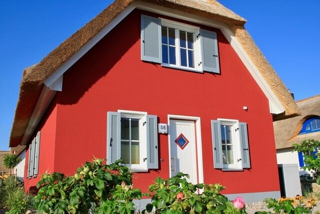 Ferienhaus in Zierow - Reethaus "M&ouml;we Emma" - Bild 25